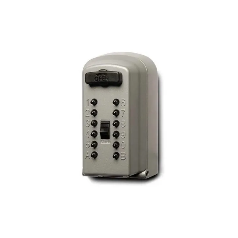 CONTENITORE PER CHIAVI A COMBINAZIONE MECCANICA KEYSAFE PRO BADGE -OFFERTA- Beste Prijs