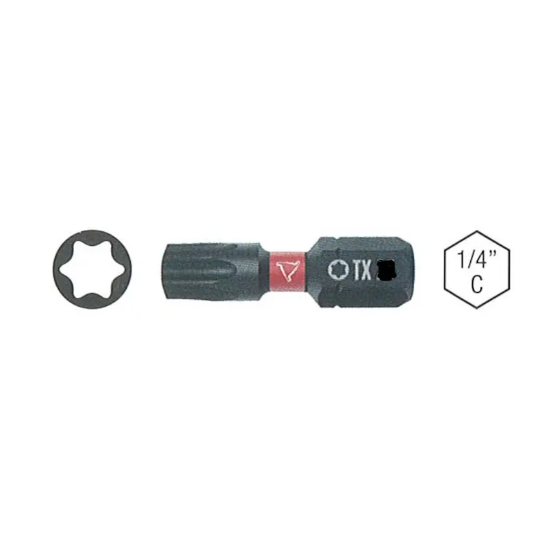 BLISTER di 2 INSERTI IMPACT E-PRO "TORX" OFFERTA Favoriet