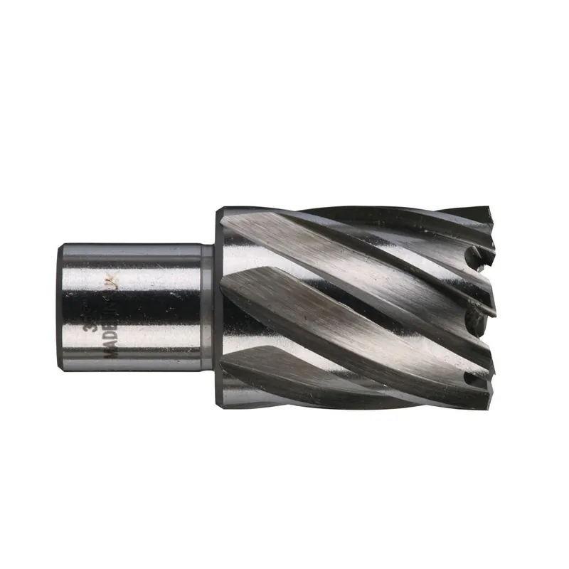 Fresa in HSS AC 30 x 30 mm Milwaukee Veilige Betaling