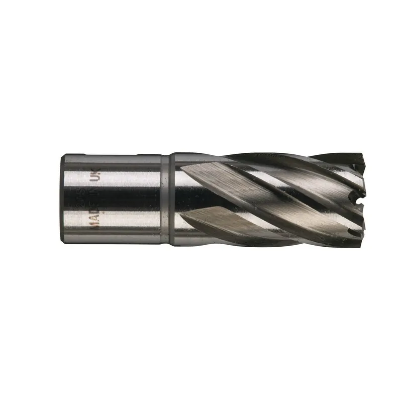 Fresa in HSS AC 20 x 30 mm Milwaukee Must-Have