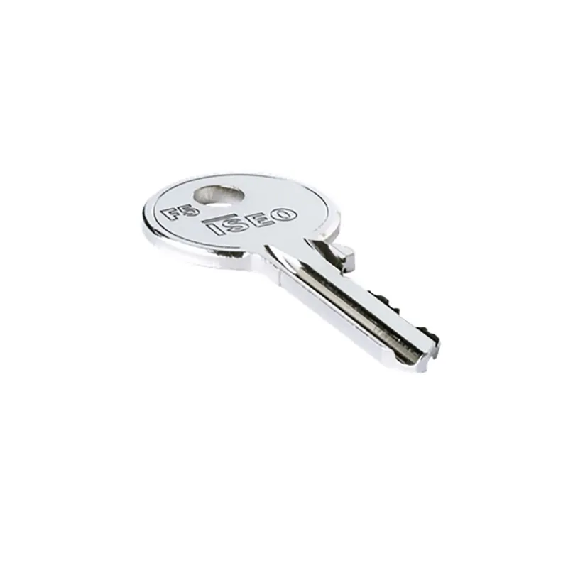 Hoge Kwaliteit Duplicazione Chiave F5 ISEO