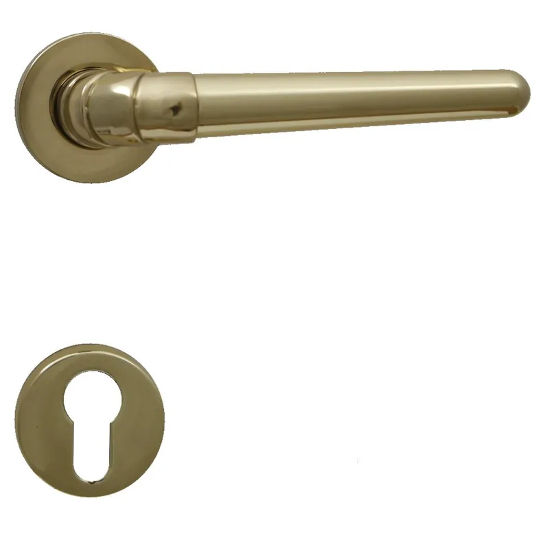 Betrouwbaar Maniglia per porta esterna RDS RHINO - Oro Lucido