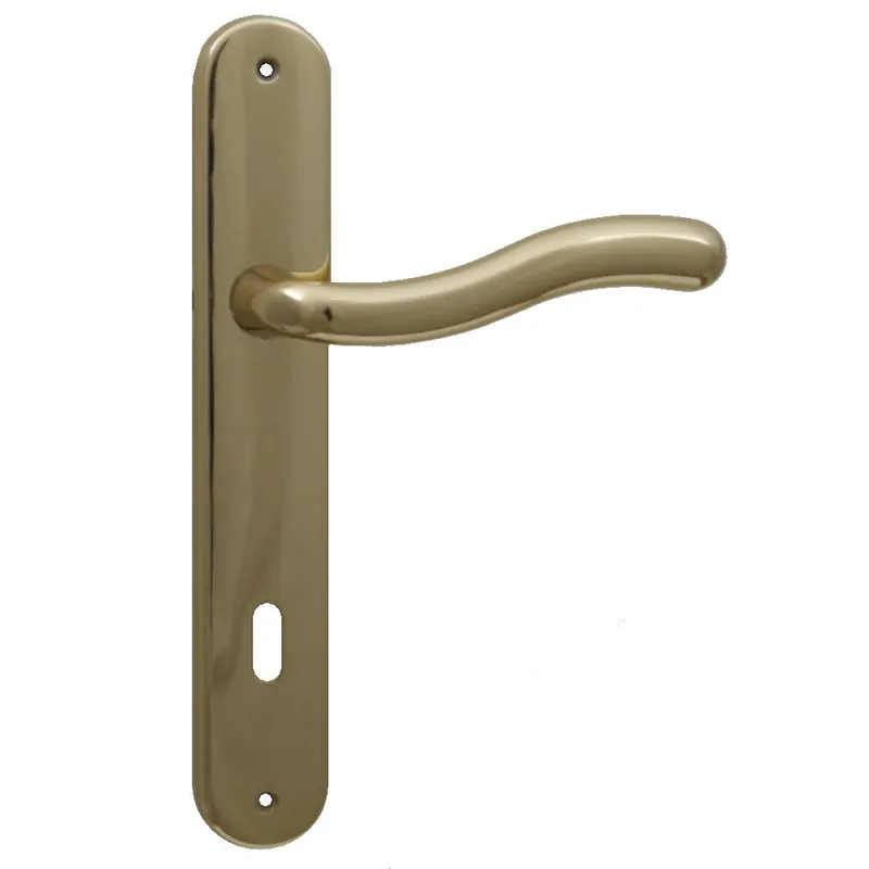 Favoriet Maniglia con placca per porta interna RDS CERTOSA - Oro Lucido