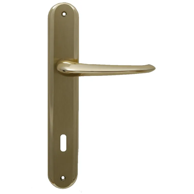 Koop Vandaag Maniglia con placca per porta interna RDS GRADO - Oro Lucido