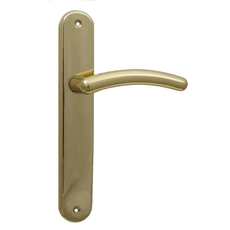 Maniglia per porta con placca cieca RDS GAND - Oro Lucido Lage Kosten