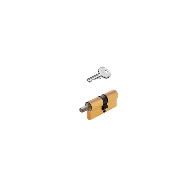 Direct Verzonden Cilindro Europeo ISEO F5 65/55 Ottone con codolo lato 65