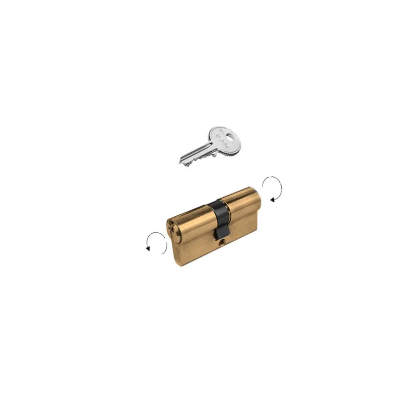 Cilindro Europeo ISEO F5 35/45 Ottone - Frizionato Veilige Betaling