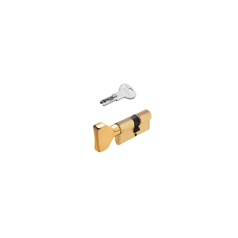 Cilindro Europeo ISEO R6 60/40 Ottone - Pomolo Piatto Lato 60 Actieprijs