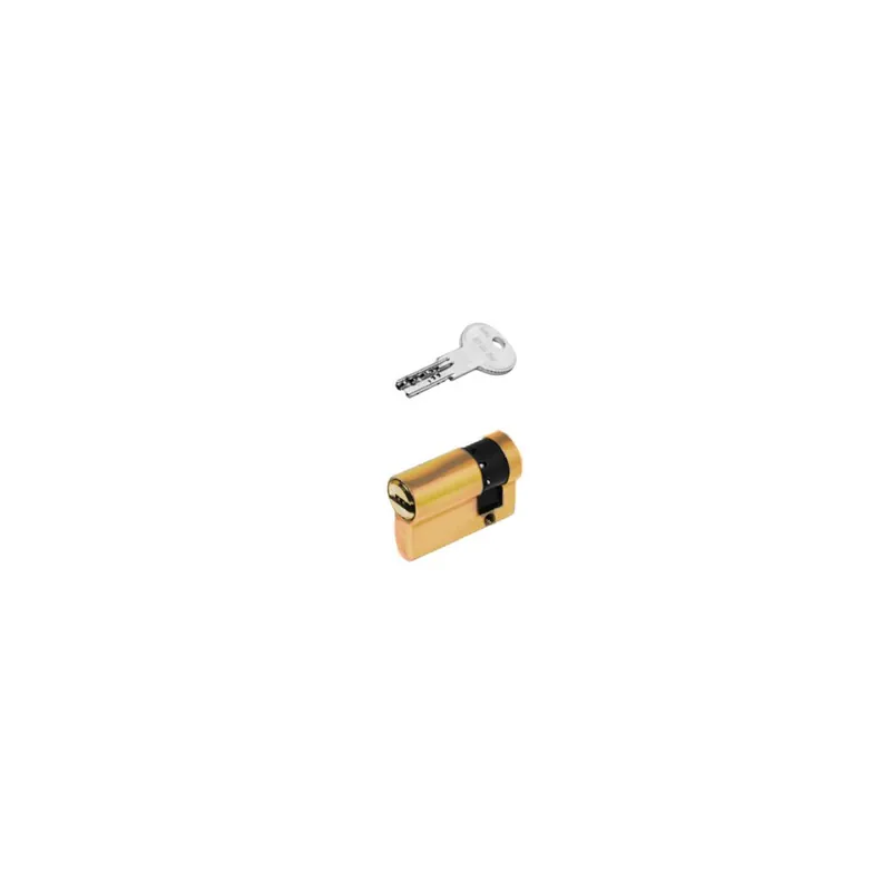 Mezzo Cilindro Europeo ISEO R6 55/10 Ottone Betrouwbaar