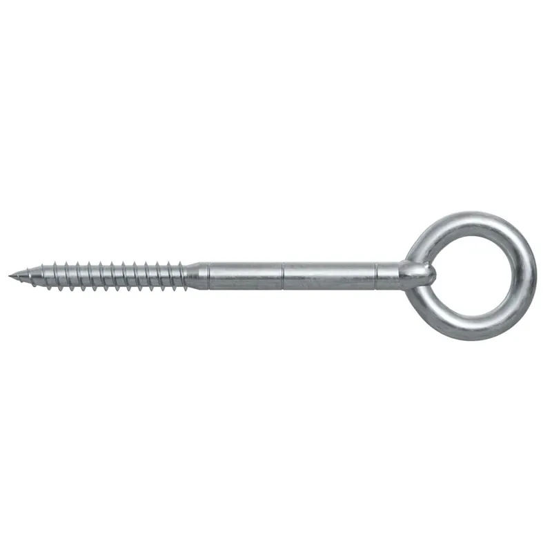 Alleen Vandaag Occhiolo per ponteggi GS 50 12x240 Fischer
