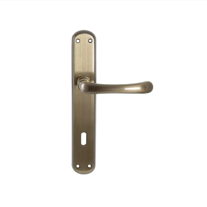 Shop Nu Maniglia per porta con placca Patent LINEA CALI‘ 625 SABA