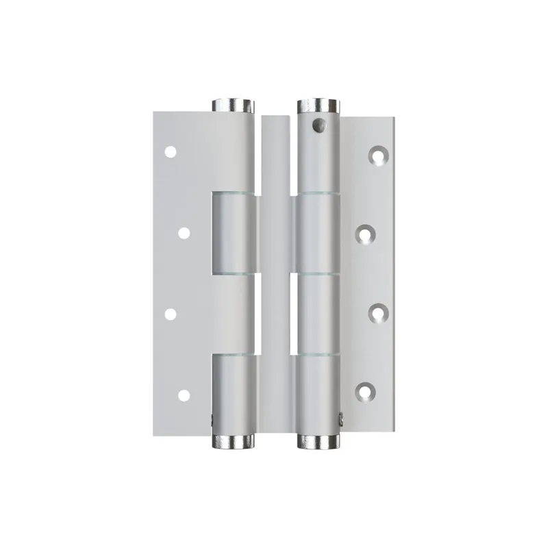 Cerniera a Doppia Azione Justor DF 120 in Alluminio Argento Shop Nu