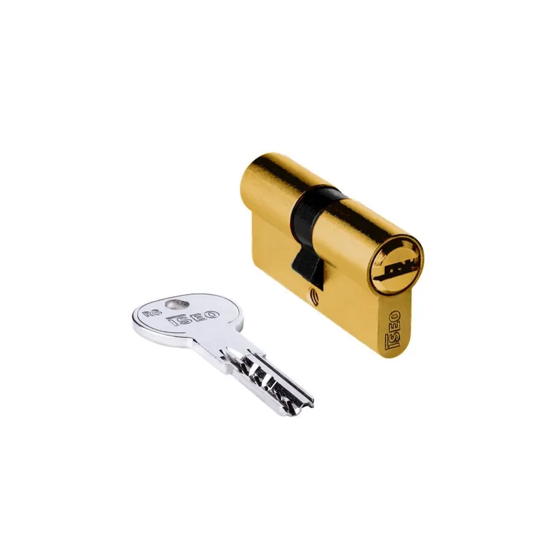 Cilindro Europeo ISEO R6 35/65 Ottone - Non frizionato Hete Deal