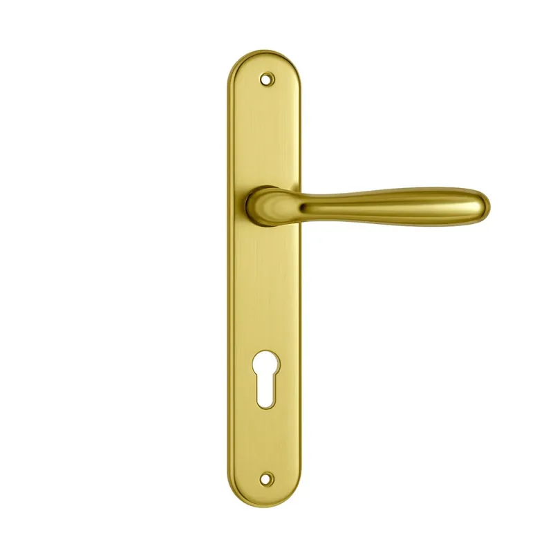Must-Have Maniglia per porta esterna con placca Colombo Design ROBOT - Oro lucido