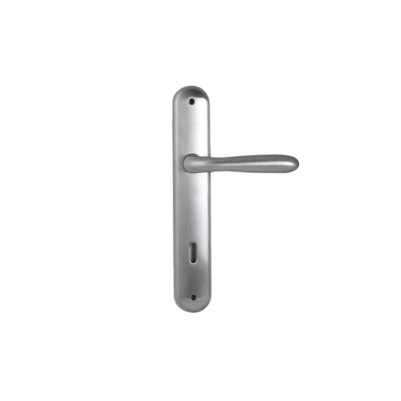 Maniglia per porta con placca patent Colombo Design ROBOT Aanbieding