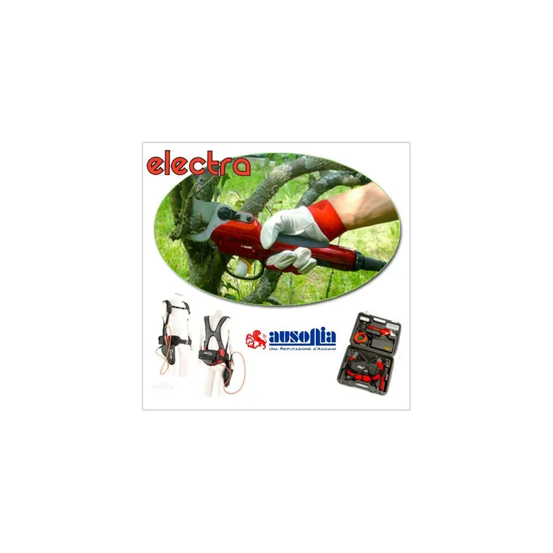 Ausonia Cesoia da potatura a batteria forbice elettrica per potature electra 31802 ausonia con valigetta Direct Beschikbaar