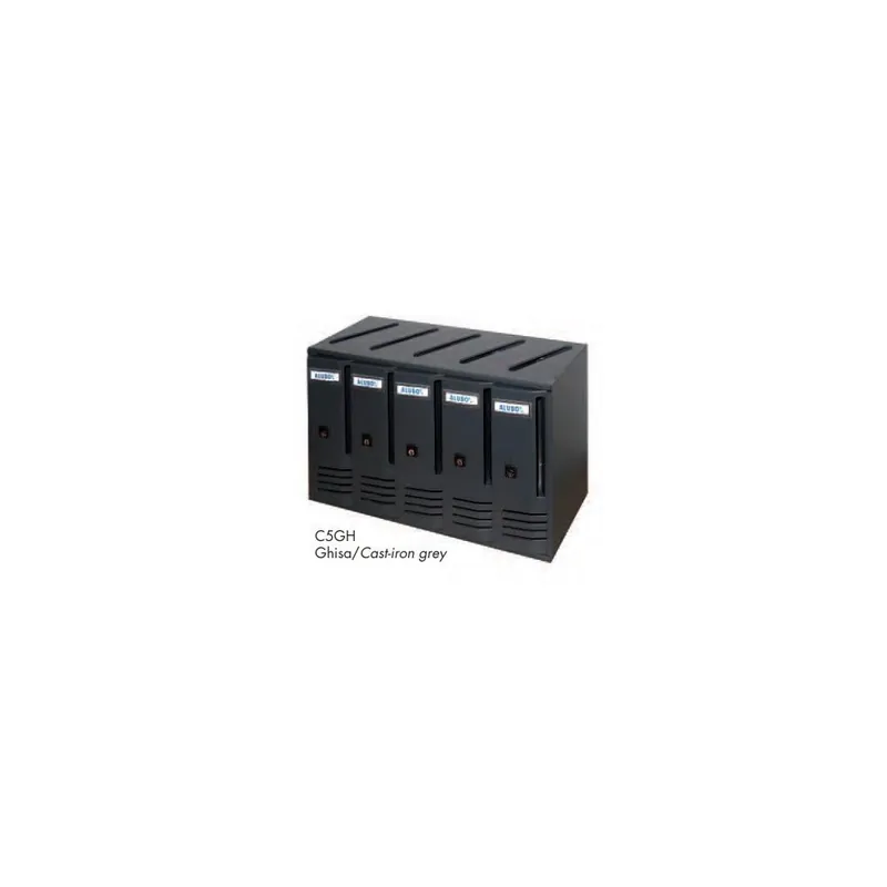 Beperkt Aanbod Alubox Blocchiera a 5 cassette postali per interno - esterno protetto colore ghisa alubox