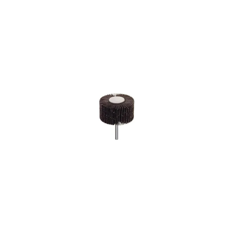 PG Professional Ruota abrasiva lamellare su gambo pg art. 35850 Gecertificeerd