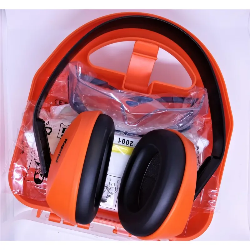 Kapriol Kit sicurezza dpi occhiali, cuffia antirumore e 3 mascherine kapriol cod.199106 in comoda valigetta Uitverkoop