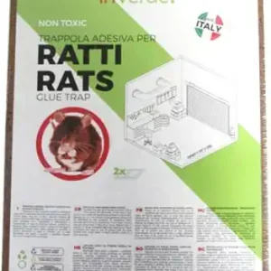 Finale Uitverkoop LEGNO RATTI 280X190 IN VERDE 2PZ.