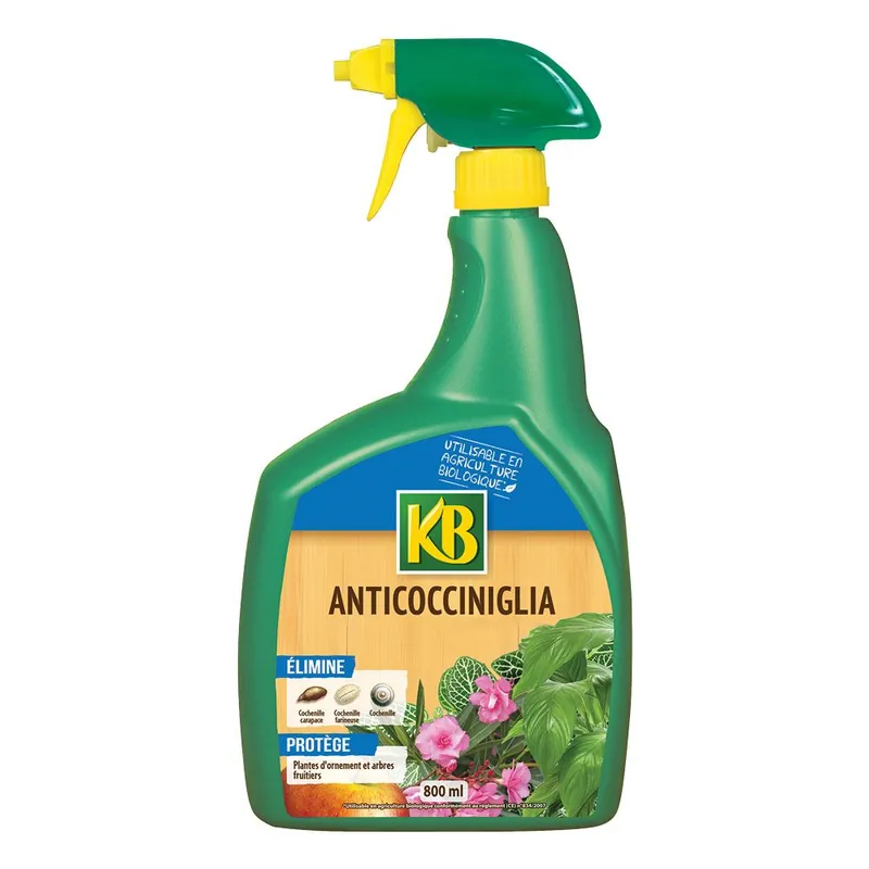 Express Levering OLIO DI COLZA ANTI COCCINIGLIA Ml. 800