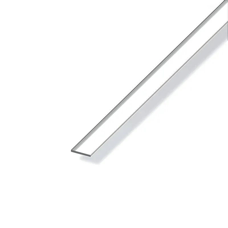 PROFILO CROMO H.100 PIATTO 25X2 Weekendaanbieding