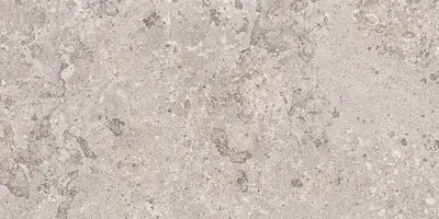 Omnia Devix Greige - Gres porcellanato effetto pietra 40x80 rettificato Laatste Versie