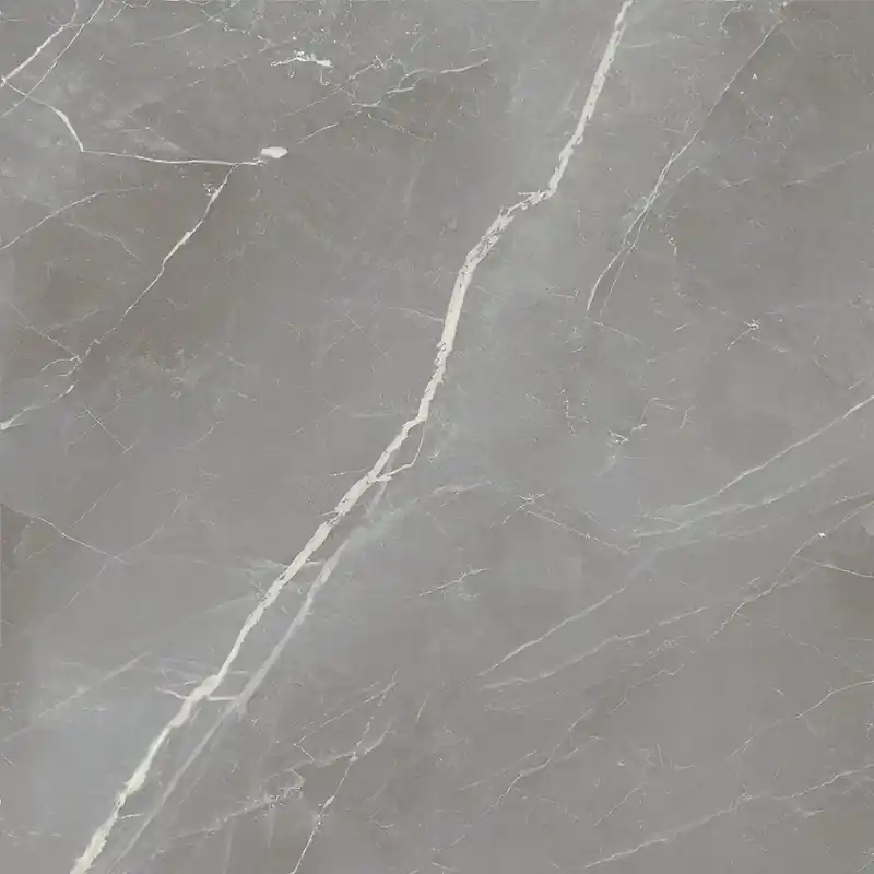 Elegance Silver Matt - Gres Effetto Marmo Opaco 60x60 Flitsaanbieding