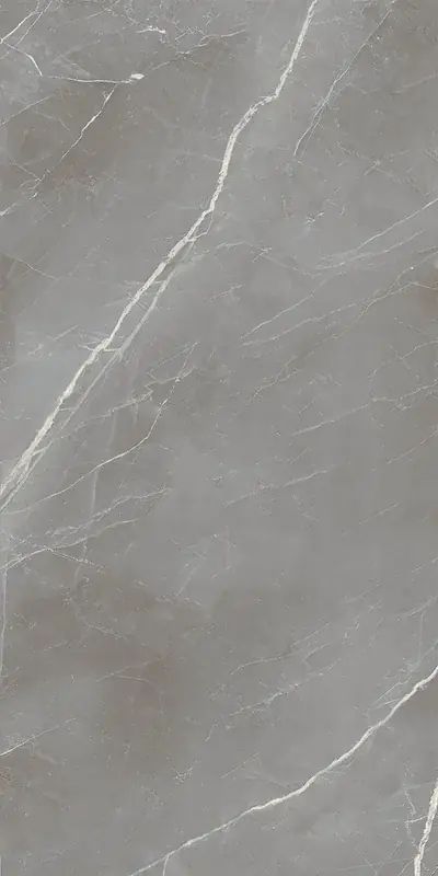 Seizoensaanbieding Elegance Silver Smooth - Gres Effetto Marmo Vellutato 60x120