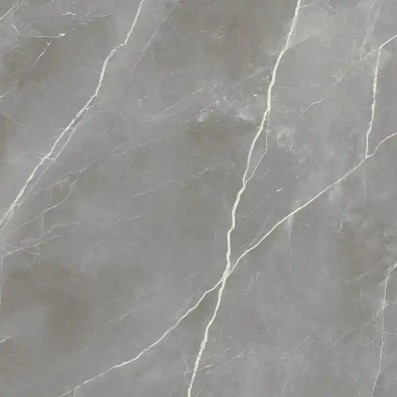 Laatste Kans Elegance Silver Lux - Gres Effetto Marmo Lucido 120x120