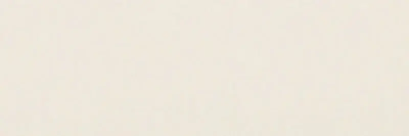 Pastelli Camelia - Gres Effetto Tinta Unita Opaco 30x90 Koopje