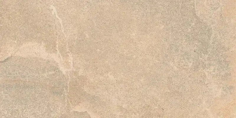 Alleen Vandaag Amazzonia Dragon Beige - Gres Porcellanato Effetto Pietra 30x60