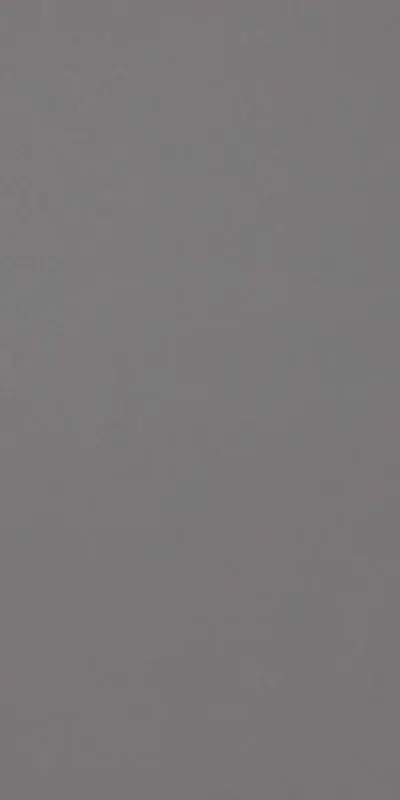 Finale Uitverkoop Architecture Medium Grey - Gres Effetto Resina 60x120 Rettificato