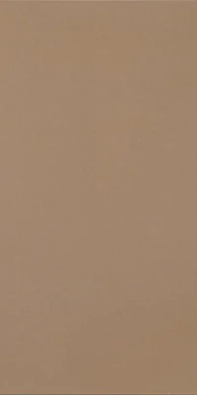 R-Evolution Terra - Gres Effetto Cemento 60x120 Rettificato Shop Nu