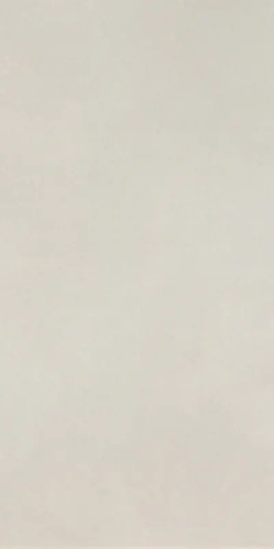Beperkte Voorraad R-Evolution Total White - Gres Effetto Cemento 60x120 Rettificato