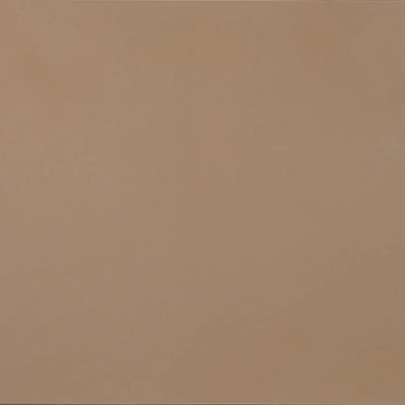 R-Evolution Terra - Gres Effetto Cemento 60x60 Rettificato Meest Verkocht