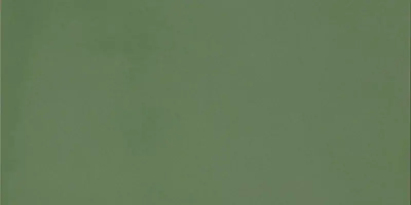 R-Evolution Green - Gres Effetto Cemento 30x60 Rettificato Beste Prijs