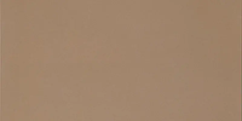 R-Evolution Terra - Gres Effetto Cemento 30x60 Rettificato Nieuw
