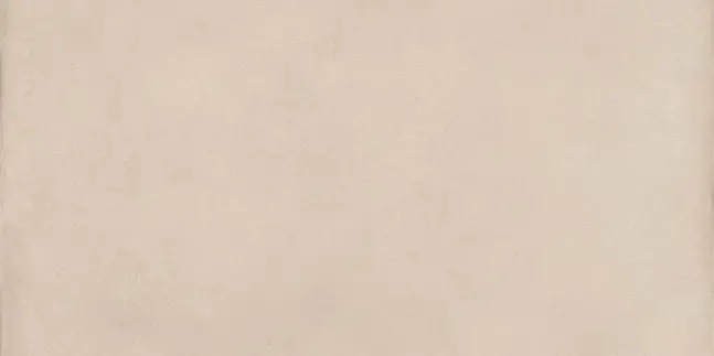Terrae Bianco - Gres Effetto Cemento Per Esterni 30x60 Rettificato Meest Verkocht