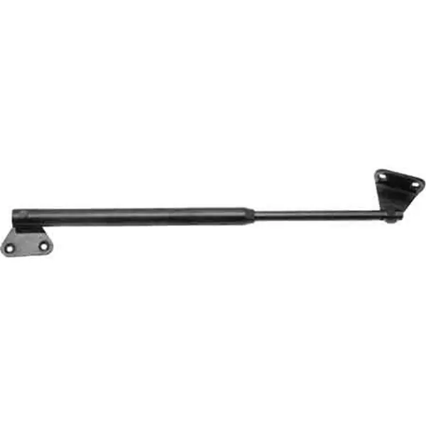 ASTA A PISTONE PER RIBALTA 20 cm - Ottone nichelato Veilige Betaling